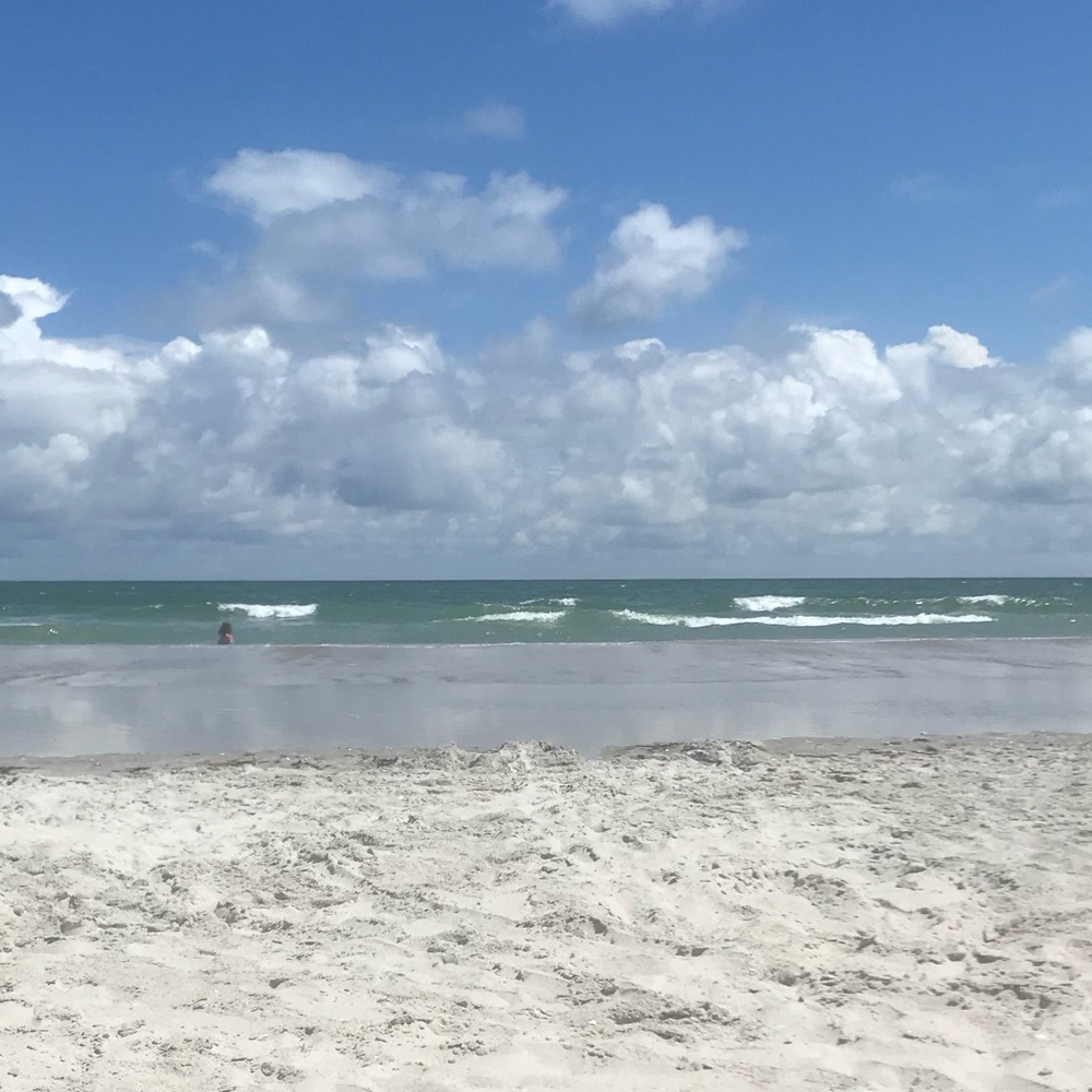 Meet your Posher, Nicci